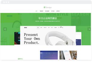 长沙网站设计制作 精选IT公司行业网站建设模板指南